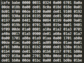 Java Raw Bytecode is what you have before you debug your Java